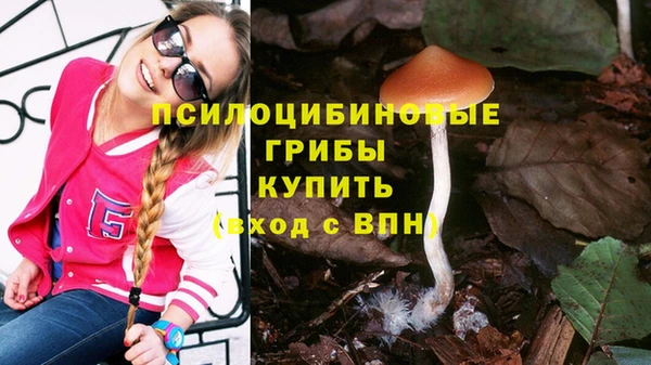 ECSTASY Алексин