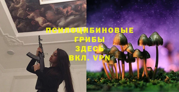 ECSTASY Алексин