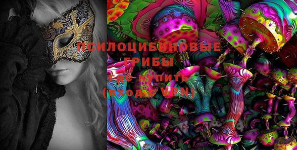 ECSTASY Алексин